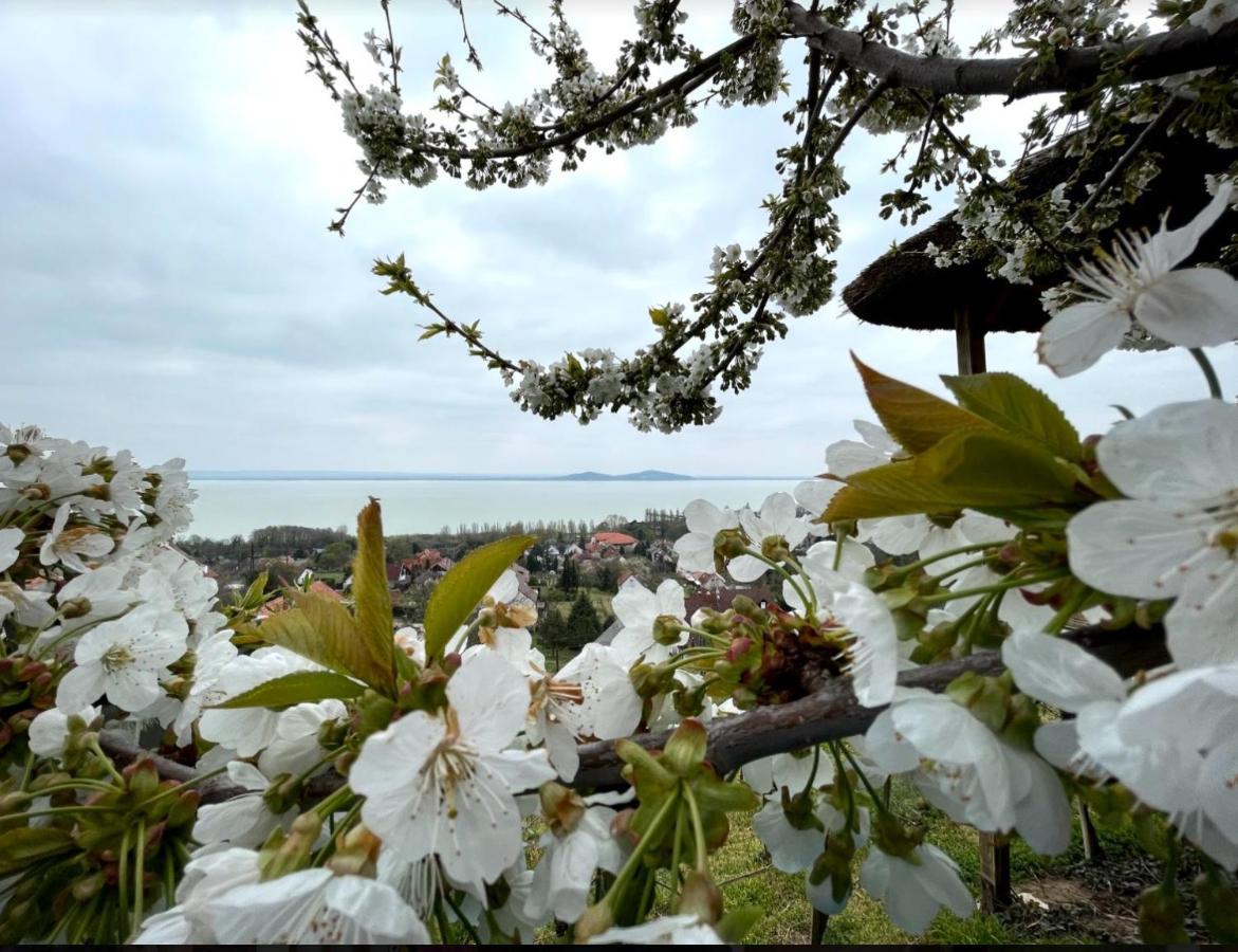 Panorama Apartmanhaz Badacsonytomaj Exteriör bild
